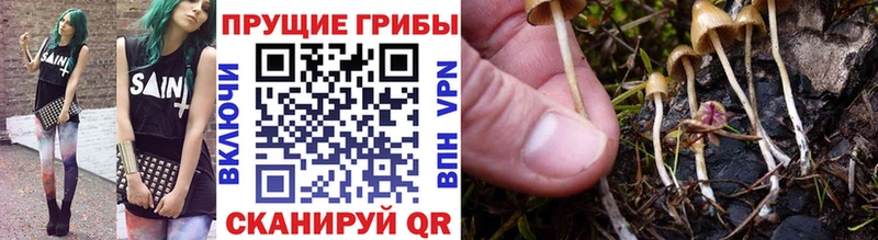 Галлюциногенные грибы Cubensis  дарнет шоп  Барыш 